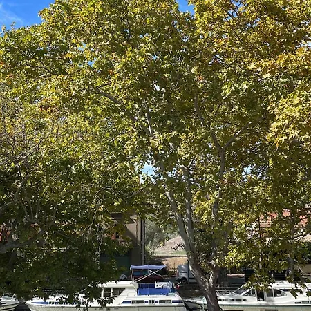 Bed & Breakfast Maison Du Canal Du Midi